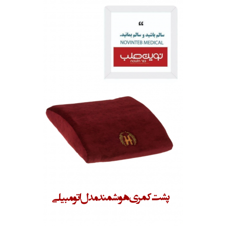 پشت کمری هوشمند مدل اتومبیلی