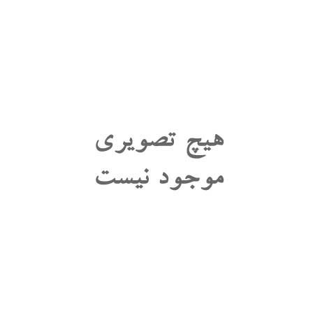 تیغ جراحی بیستوری موریس بسته 100 عددی شماره 24 (غیر پزشکی)